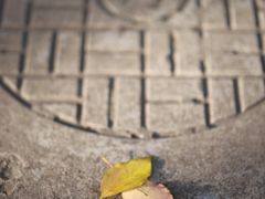 -半岛1919创意园区