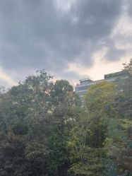 -上海首尔丽格医疗美容医院