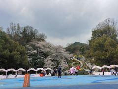-杭州少年儿童公园