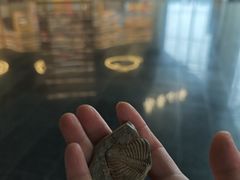 -房山世界地质公园博物馆