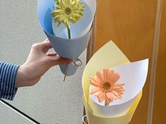 -花生FM_FLOWERS