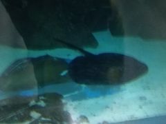-苏州海洋馆