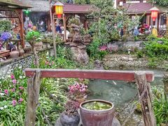 -青城甲(青城山店)