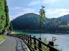 -武陵山森林公园