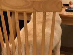 -柴の食堂·日式家庭料理·熊之肆(大学路店)
