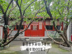 -北京鲁迅博物馆(北京新文化运动纪念馆鲁博馆区)