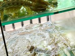 -凯华海鲜火锅·传承三十六年