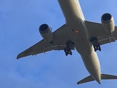 -空港花田景区