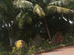 -呀诺达热带雨林