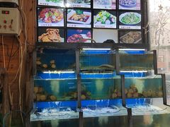 水产区-老东镇啤酒屋海鲜加工·蒸汽海鲜·海鲜烧烤(台东店)