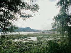 -鸣鹤古镇