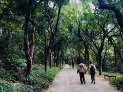 -燕晗山郊野公园