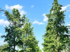 -白鹭湾湿地公园