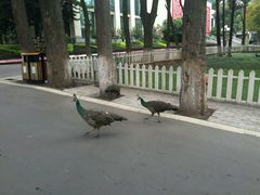 -西昌邛海宾馆