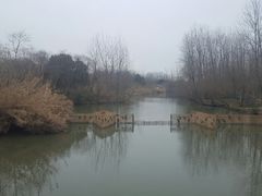 -溱湖国家湿地公园