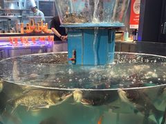 -魏铭鱼头捞饭(晋阳路店)