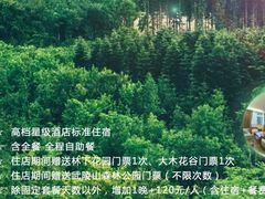 -武陵山森林公园