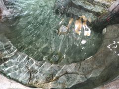 -汗蒸时代水善汤泉(欣欣嘉园店)