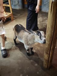 -Zoolung Zoolung动物主题公园(海信广场店)