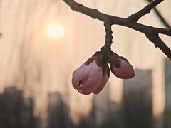 -太阳宫公园