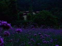 -重庆海昌加勒比海水世界