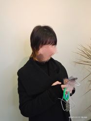 点击看大图 -藤野造型