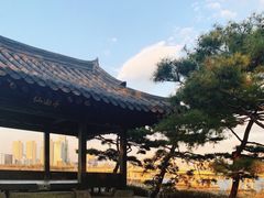 -仙游岛公园