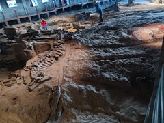 -自贡恐龙博物馆