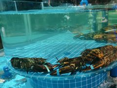 -蓝珊甄选海鲜自助·火锅大排档(近阿那亚店)