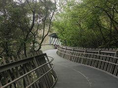 -福道