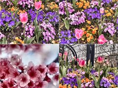 -宁波儿童公园(鄞州区)