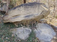 -泰山风景名胜区-普照寺