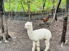 -本溪关山湖风景区
