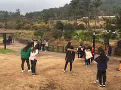 -龙头岩(Dragon Head Rock)