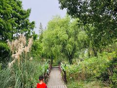 -长兴太湖图影湿地文化园