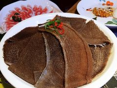 极品毛肚-田园肥牛府(东关街店)