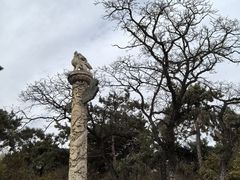 -北陵公园