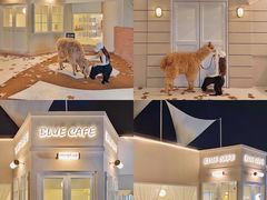 -Blue Concept Cafe&Farm·關於藍