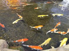 -鸿通城购物中心