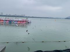 -蠡湖大桥公园