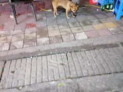 -毅记香鸭居(后堡店)