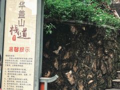 -佛山华盖山公园