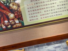 -菌之家·专业纯野生菌火锅·特色炒菌