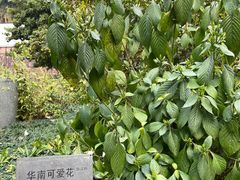 -广州神农草堂中医药博物馆