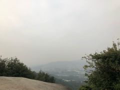 -火炉山森林公园