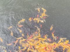 -沂蒙云瀑洞天景区