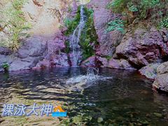 -云岫谷游猎自然风景区