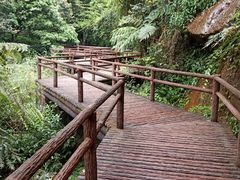 -赤水丹霞旅游区·佛光岩