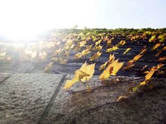 -虞山城墙