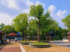 -上海吴淞炮台湾国家湿地公园